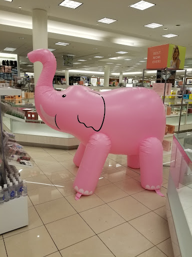 Department Store «Belk», reviews and photos, 2615 Medical Center Pkwy Suite 1600, Murfreesboro, TN 37129, USA