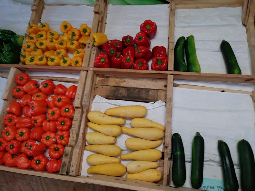 Grocery Store «Puzyckis market», reviews and photos, 15690-15698 Bedford Cir W, Clearwater, FL 33764, USA