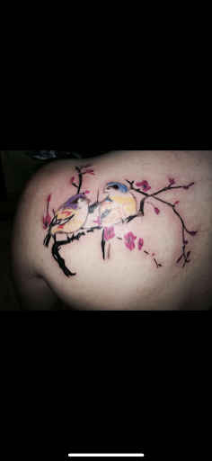 Tattoo Shop «Mystic Tattoo and Body Piercing», reviews and photos, 1150 Richmond Rd, Charlottesville, VA 22911, USA