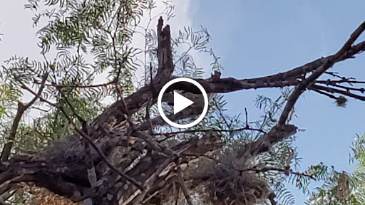 Park «John James Park», reviews and photos, 3910 Rittiman Rd, San Antonio, TX 78234, USA