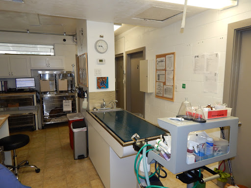 Dr. Kraemer Vet4Bulldog image