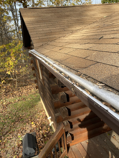 Animal Control Service «Xceptional Wildlife Removal», reviews and photos