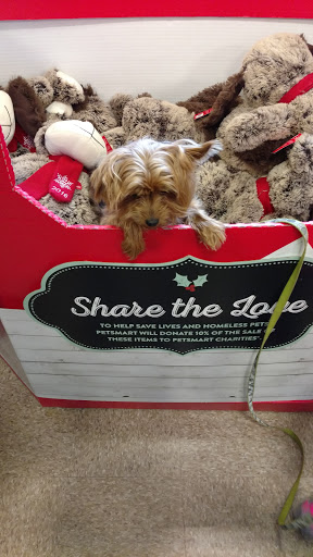 Pet Supply Store «PetSmart», reviews and photos, 1386 Atwood Ave, Johnston, RI 02919, USA
