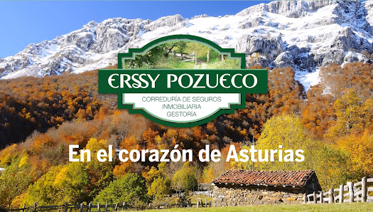 Erssy Pozueco, Asesoría Inmobiliaria y Correduría de Seguros Pl. Maximiliano Arboleya, 5, 33980 Pola de Laviana, Asturias, España