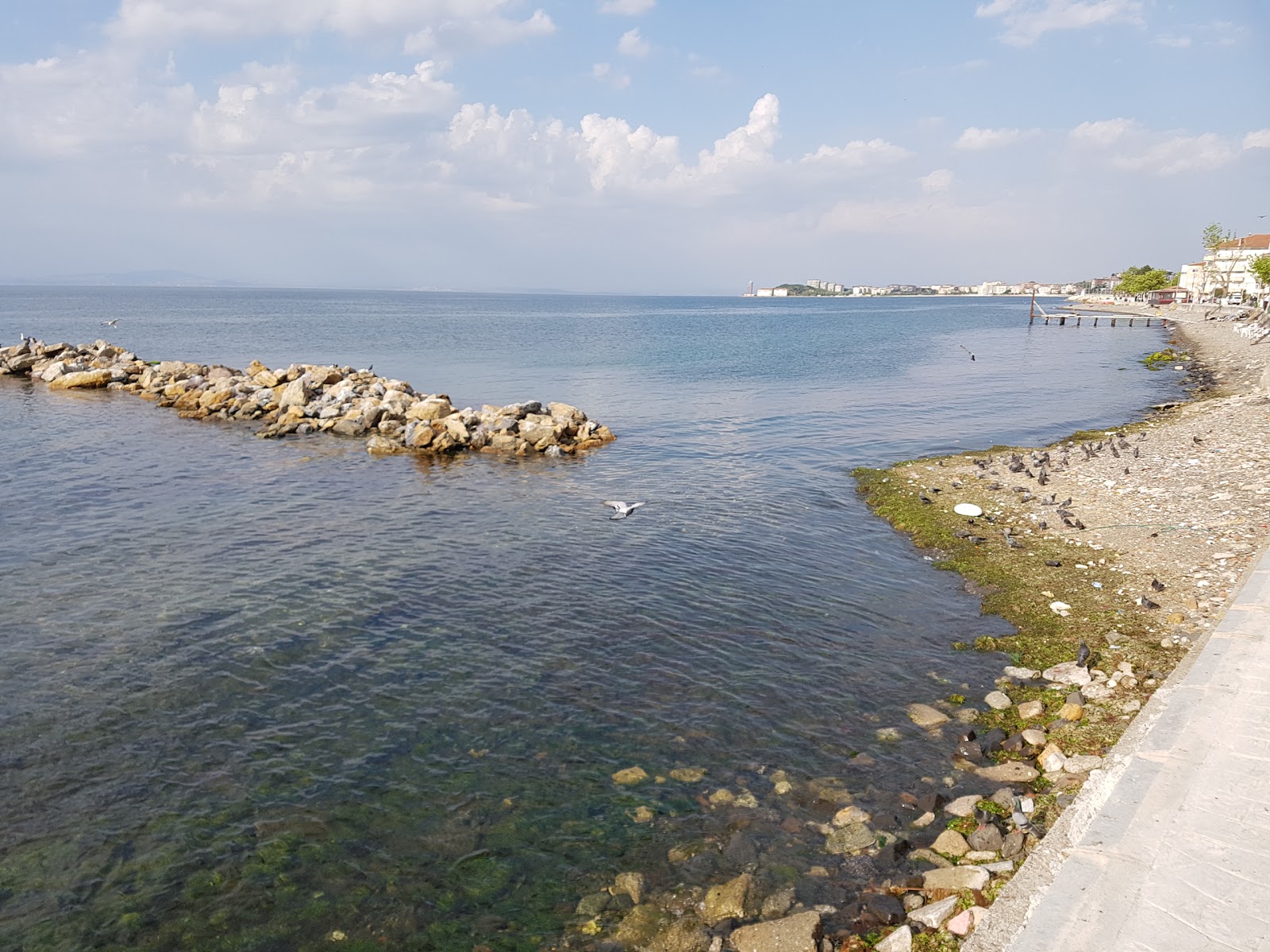 Foto von Cinarcik beach II mit türkisfarbenes wasser Oberfläche