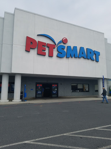 PetSmart, 4200 Derry St, Harrisburg, PA 17111, USA, 