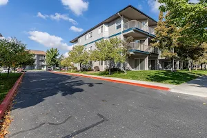 Shoreline Village Apartments image