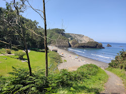 Photo de Playa de Munielles zone sauvage