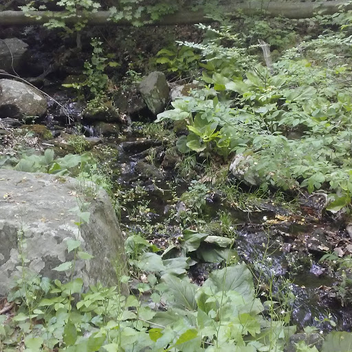 Park «Hart`s Brook Park and Preserve», reviews and photos, 156 Ridge Rd, Hartsdale, NY 10530, USA