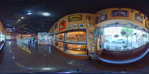 Explore red bird tattoo ideas, creative tattoo ideas in Columbus, available at Evolved Body Art