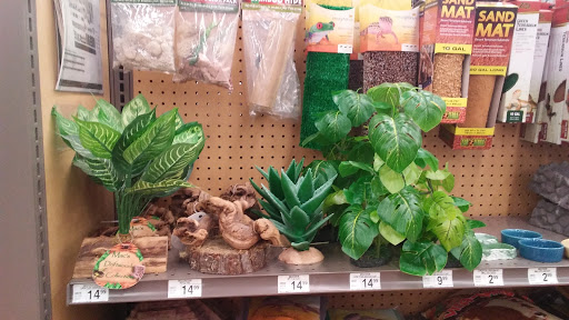 Pet Supply Store «Petco Animal Supplies», reviews and photos, 420 Harry L Dr #2, Johnson City, NY 13790, USA