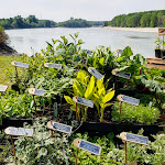 Photo n°2 de l'avis de Massimo.e fait le 27/04/2019 à 04:22 sur le  Peace In Po / Birreria La Quadra à Guastalla