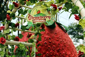Bukit Strawberry Lembang image