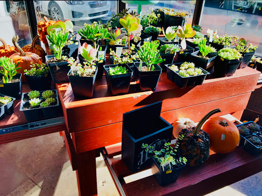 Grocery Store «Hopey and Co.», reviews and photos, 45 S French Broad Ave, Asheville, NC 28801, USA