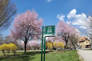 Safet Isović Park image