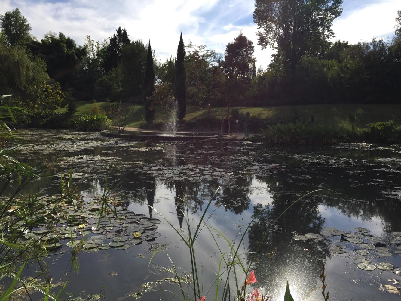 Photo n° 8 de l'avis de Amélie.e fait le 02/10/2018 à 10:36