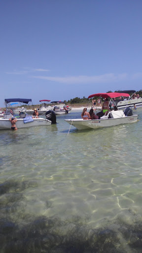 Tourist Attraction «Shell Island Beach», reviews and photos, 4607 State Park Ln, Panama City, FL 32408, USA