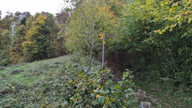 Comentarii opinii despre Wegkreuzung