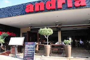 Andria Steak And Grill Restaurant image
