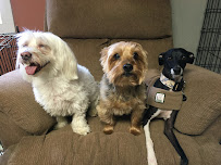 The Rustic Dog - Photo 5 - Car repair in Westminster, MA, Leominster