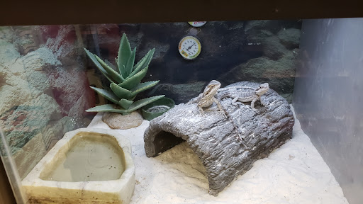 Pet Supply Store «Petco Animal Supplies», reviews and photos, 801 W Lake Ave, Peoria, IL 61614, USA