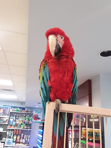 Pet Store «Petland Topeka», reviews and photos, 1801 SW Wanamaker Rd, Topeka, KS 66614, USA