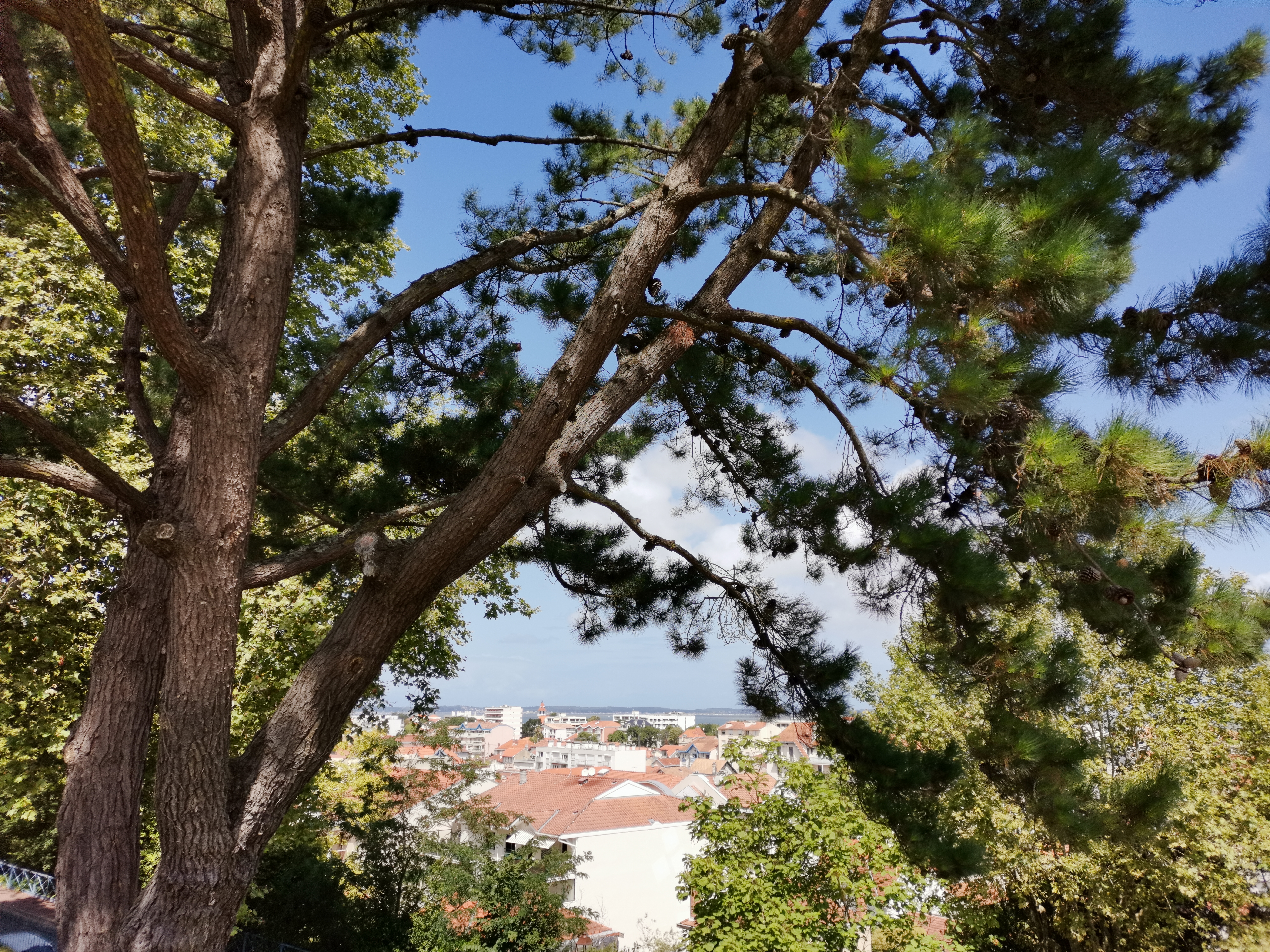 Photo n° 2 de l'avis de Sebastien.i fait le 02/08/2019 à 15:56