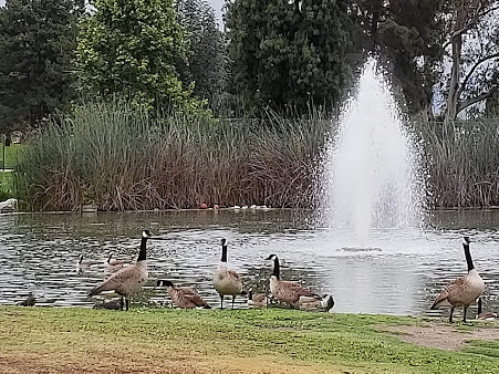 Golf Course «Alhambra Golf Course», reviews and photos, 630 S Almansor St, Alhambra, CA 91801, USA