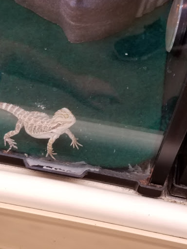 Pet Supply Store «PetSmart», reviews and photos, 5812 Youngstown Warren