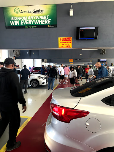 Auto Auction «Manheim Tampa», reviews and photos, 401 S 50th St, Tampa, FL 33619, USA