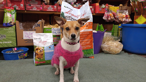 Pet Supply Store «Higbie Farm Supplies Inc», reviews and photos, 3440 Union St, North Chili, NY 14514, USA