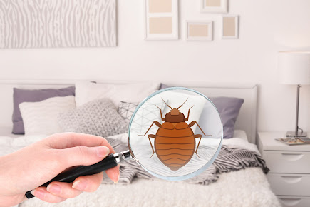 Family Pest Control Edwardsville IL - Ants, Bed Bugs, Mice