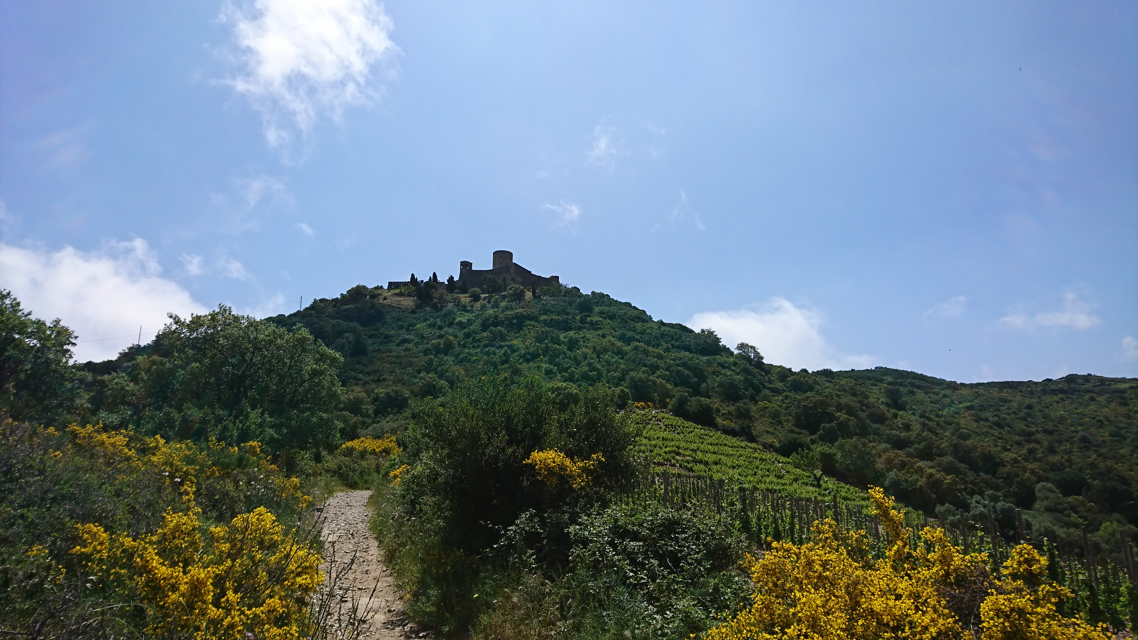 Photo n° 16 de l'avis de Mnq.n fait le 12/05/2018 à 11:39