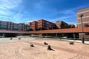 Plaza de los Gatos image
