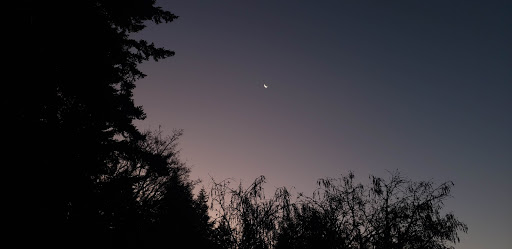 Park «Sacajawea Park», reviews and photos, 1401 S Dash Point Rd, Federal Way, WA 98003, USA