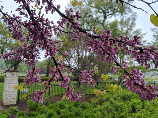 Park «Chicago Park District», reviews and photos, 5505 W Berteau Ave, Chicago, IL 60641, USA