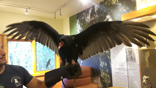 Non-Profit Organization «Audubon Society of Portland», reviews and photos, 5151 NW Cornell Rd, Portland, OR 97210, USA