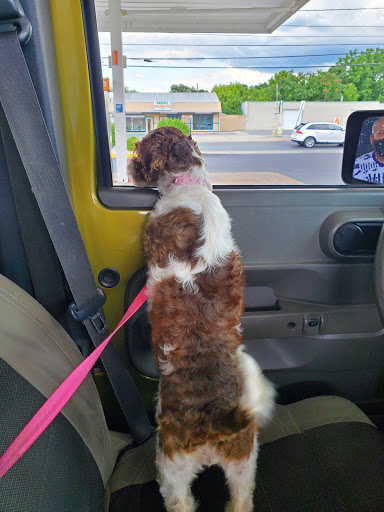 Donut Shop «Fresh Donuts», reviews and photos, 1202 Cumberland St, Lebanon, PA 17042, USA