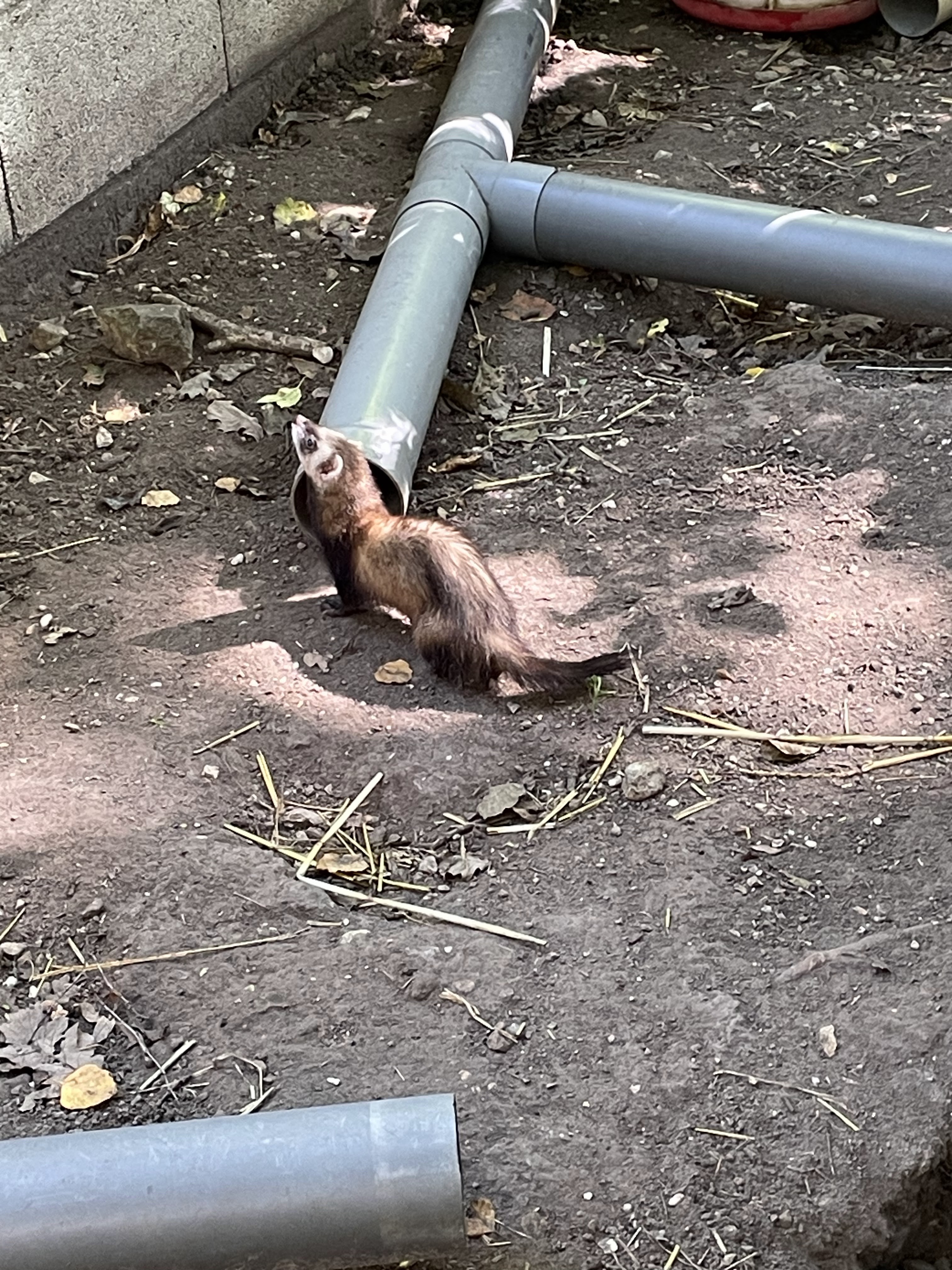 Photo n° 22 de l'avis de catherine.h fait le 22/08/2023 à 10:19