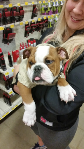 Pet Supply Store «PetSmart», reviews and photos, 11501 Metcalf Ave, Overland Park, KS 66210, USA