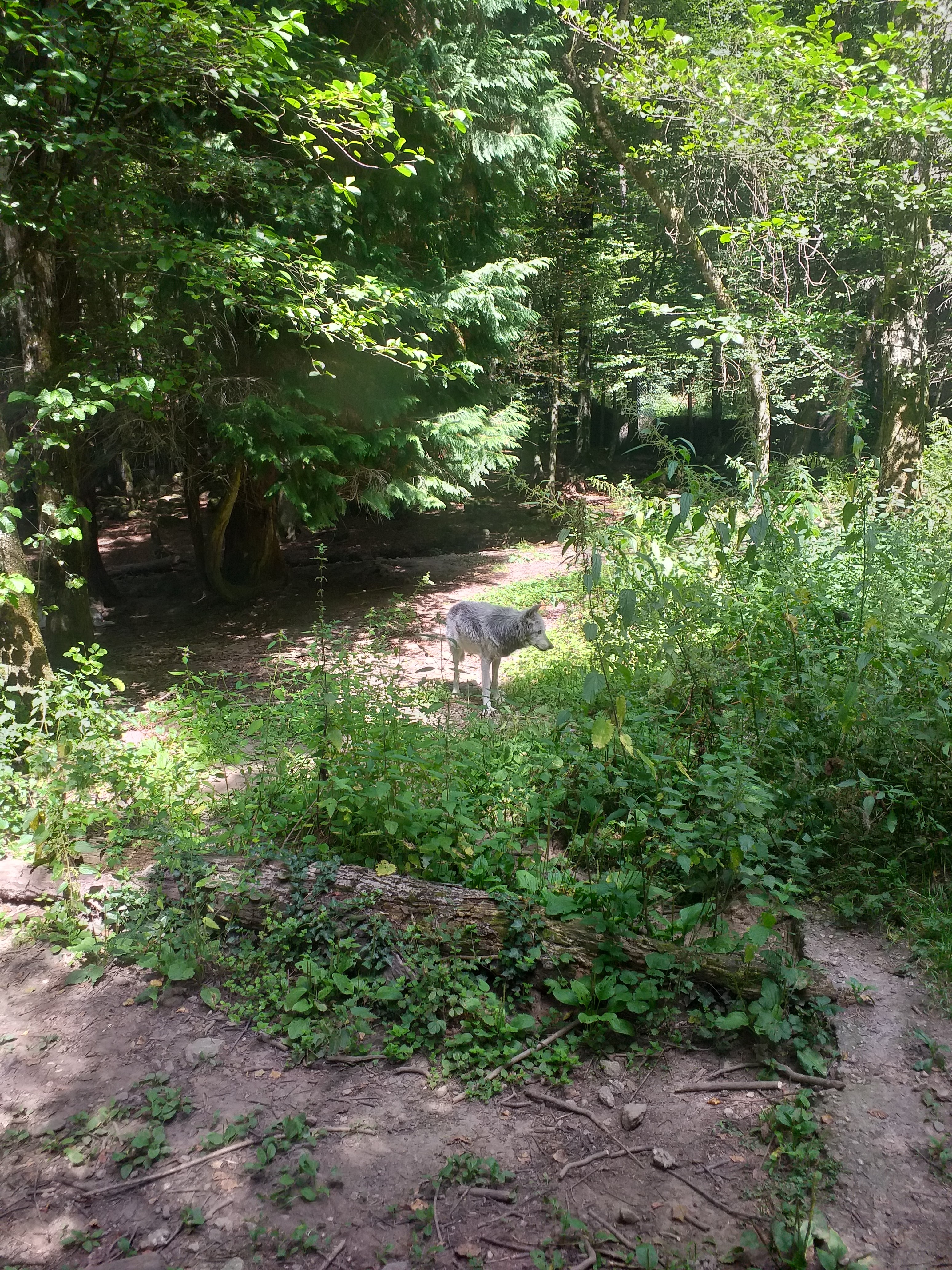 Photo n° 2 de l'avis de Bertr1Bis. fait le 17/08/2023 à 19:39