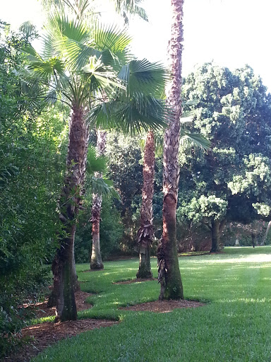 Golf Course «Rocky Point Golf Course», reviews and photos, 4151 Dana Shores Dr, Tampa, FL 33634, USA