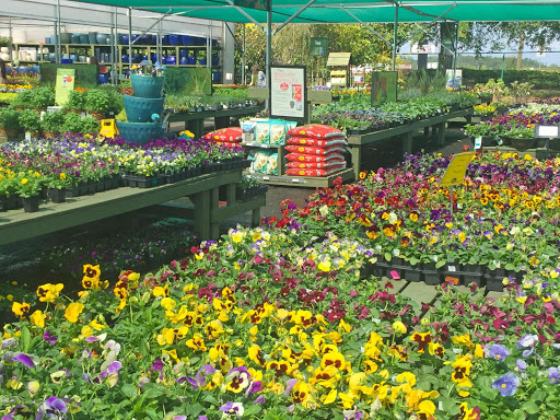 Garden Center «Pike Nurseries», reviews and photos, 6050 Bethelview Rd, Cumming, GA 30040, USA