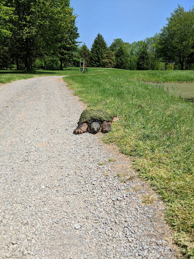 Public Golf Course «Arrowhead Golf Course», reviews and photos, 655 Gallup Road, Spencerport, NY 14559, USA