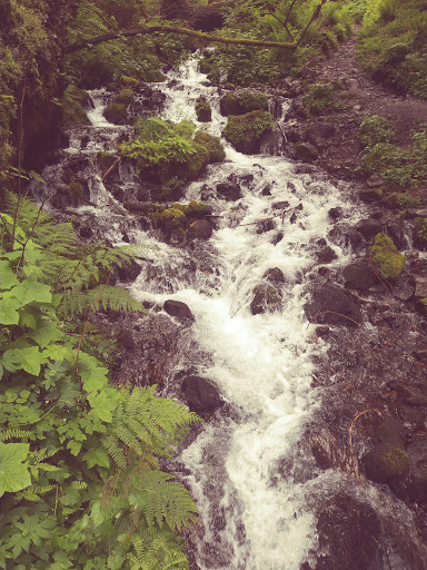 Tourist Attraction «Fairy Falls», reviews and photos, Wahkeena Trail #420, Corbett, OR 97019, USA