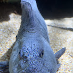 Photo n° 2 de l'avis de Arseni.v fait le 31/07/2023 à 10:23 pour Nausicaa Centre National De La Mer à Boulogne-sur-Mer