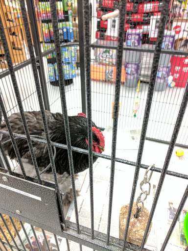 Pet Store «Woofmeow Family Pet Center», reviews and photos, 19 Manchester Rd Suite A, Derry, NH 03038, USA