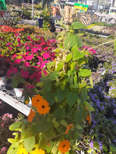 Home Improvement Store «The Home Depot», reviews and photos, 24332 El Toro Rd, Laguna Hills, CA 92653, USA