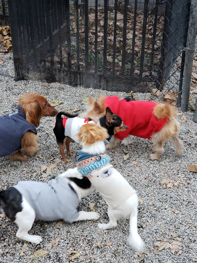 Park «Madison Square Park», reviews and photos, 11 Madison Ave, New York, NY 10010, USA