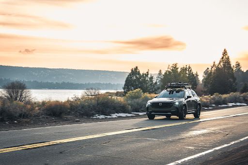 Mazda Dealer «Walser Mazda», reviews and photos, 14720 Buck Hill Rd, Burnsville, MN 55306, USA